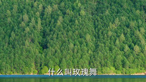 玫瑰什么广场舞，什么舞蹈是叼根玫瑰的