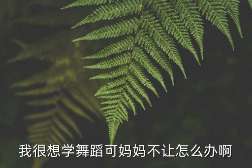 我很想学舞蹈可妈妈不让怎么办啊