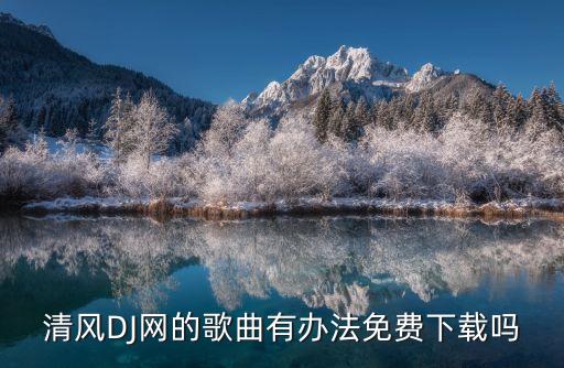 清风DJ网的歌曲有办法免费下载吗
