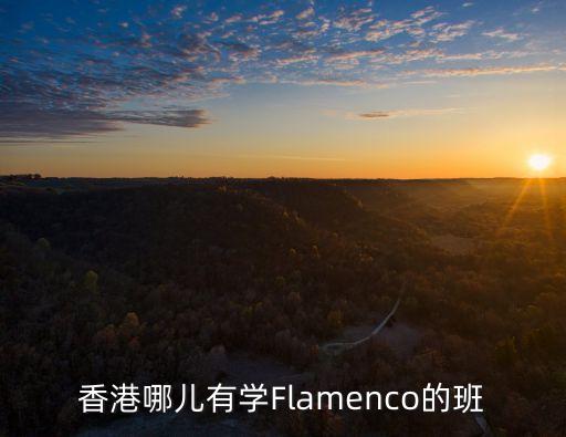香港哪儿有学Flamenco的班