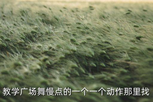 教学广场舞慢点的一个一个动作那里找