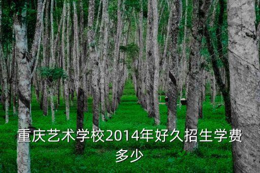 重庆艺术学校2014年好久招生学费多少