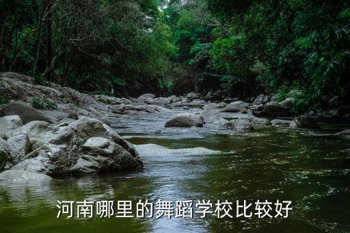 郑州舞蹈学校有哪些，郑州比较有名的舞蹈学校是哪家呢
