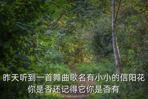 昨天听到一首舞曲歌名有小小的信阳花你是否还记得它你是否有