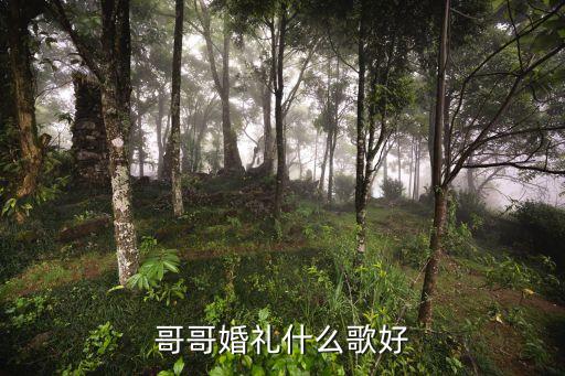 哥哥婚礼什么歌好