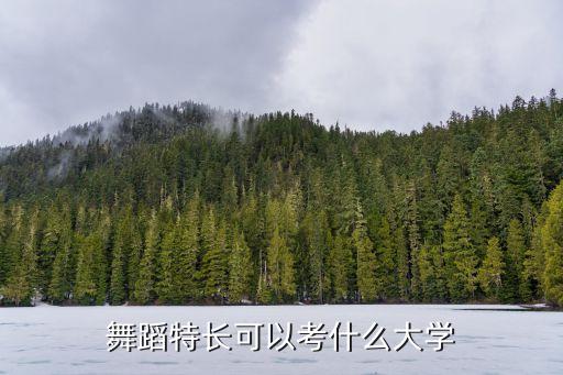舞蹈特长可以考什么大学