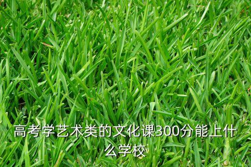 舞蹈类300分能上哪个院校，艺术类考生考了300分能上什么学校
