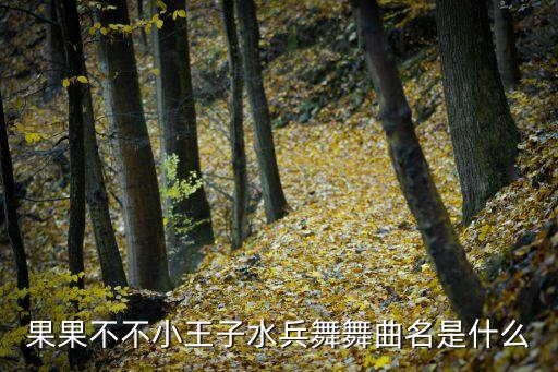 双人水兵舞小王子歌名是什么，果果不不小王子水兵舞舞曲名是什么