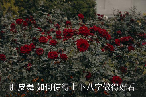 肚皮舞下八垮是什么，请问肚皮舞腰部动作有哪些叫什么名字谢谢