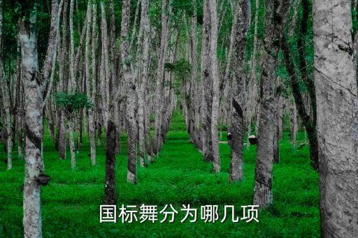 国标舞分为哪几项