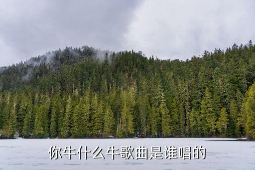 你牛什么牛 小可乐，你牛什么牛出自于那首歌