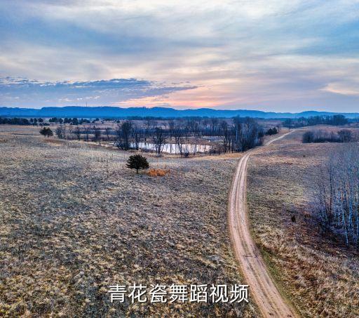 黑桃舞蹈视频，英雄杀李师师用黑桃怎样曼舞