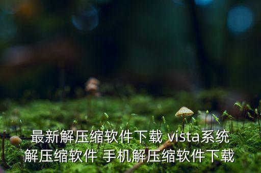 最新解压缩软件下载 vista系统解压缩软件 手机解压缩软件下载