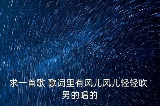 求一首歌 歌词里有风儿风儿轻轻吹 男的唱的