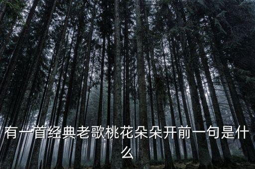 有一首经典老歌桃花朵朵开前一句是什么