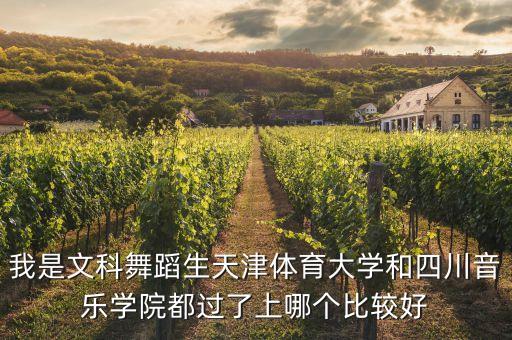 舞蹈生专过文排的学校，我是文科班的舞蹈特长生 能报什么大学呢 亲们 帮帮忙啦