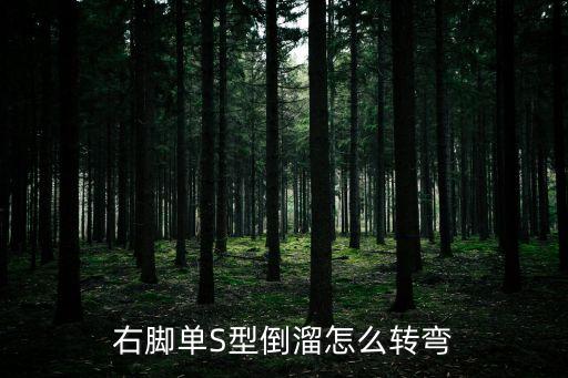 右脚单S型倒溜怎么转弯