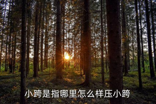 小跨是指哪里怎么样压小跨