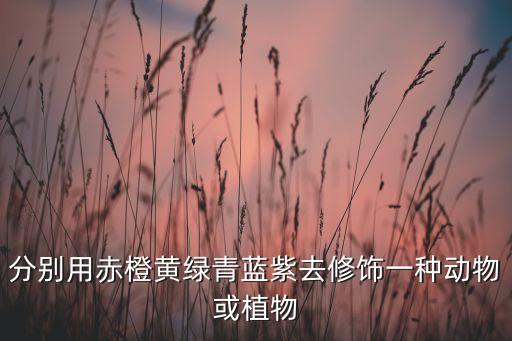 朵朵紫色形容什么动物，分别用赤橙黄绿青蓝紫去修饰一种动物或植物