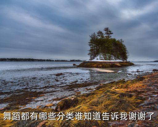 舞有什么舞蹈，舞蹈都有哪些分类谁知道告诉我谢谢了