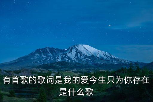 有首歌的歌词是我的爱今生只为你存在是什么歌