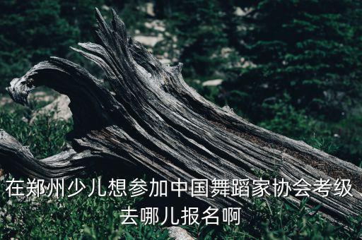在郑州少儿想参加中国舞蹈家协会考级去哪儿报名啊