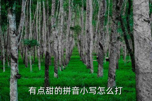 有点甜的拼音小写怎么打