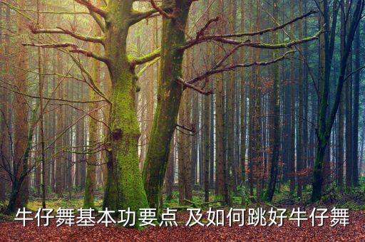 牛仔舞基本功要点 及如何跳好牛仔舞