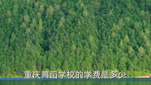重庆舞蹈学校的学费是多少