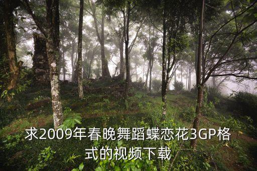 求2009年春晚舞蹈蝶恋花3GP格式的视频下载