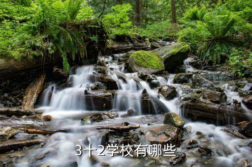 3十2学校有哪些