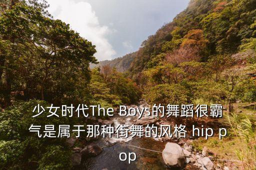 少女时代The Boys的舞蹈很霸气是属于那种街舞的风格 hip pop