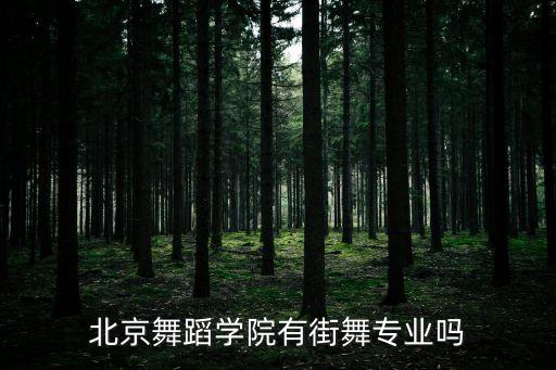 北京舞蹈学院有街舞专业吗