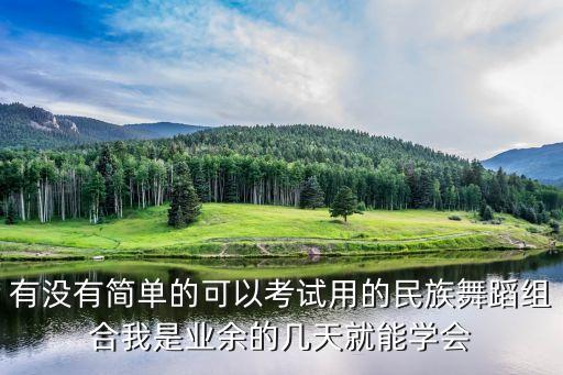 有没有简单的可以考试用的民族舞蹈组合我是业余的几天就能学会