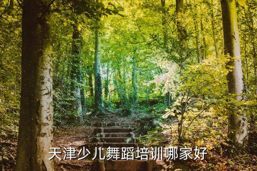 天津少儿舞蹈培训哪家好