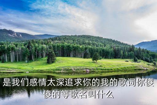 是我们感情太深追求你的我的歌词你傻傻的等歌名叫什么