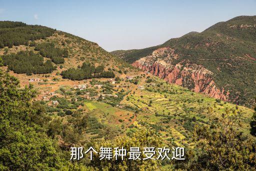 那个舞种最受欢迎