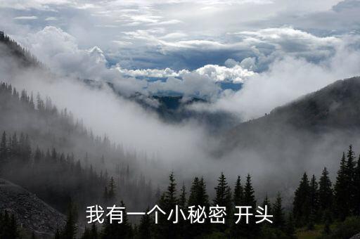 我有一个小秘密 开头