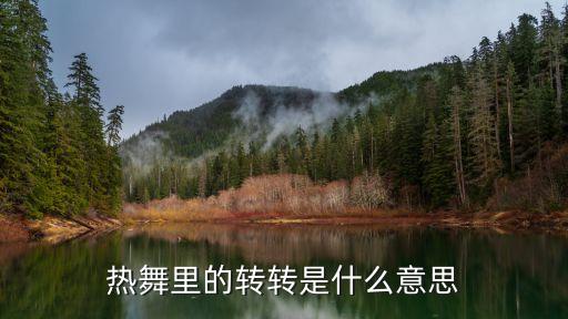 舞蹈中的转是什么意思，却坐促弦弦转急中的转是什么意思