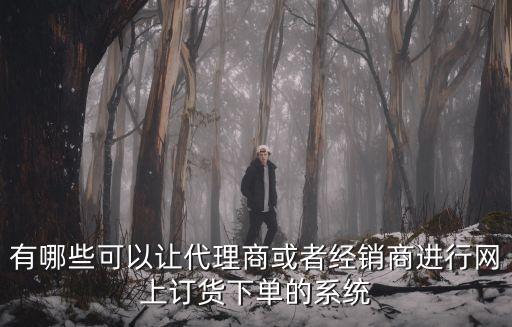 有哪些可以让代理商或者经销商进行网上订货下单的系统