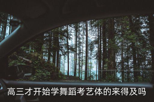 高三开始学舞蹈考艺术，高三才学舞蹈迟不迟学什么好难不难能考什么学校文化课要多