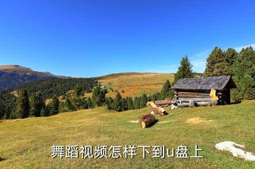 舞蹈视频怎样下到u盘上