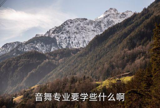 音舞专业要学些什么啊