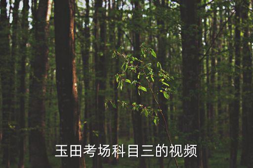 玉田考场科目三的视频