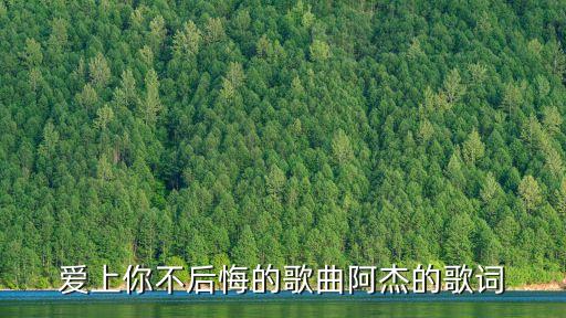 爱上你不后悔的歌曲阿杰的歌词