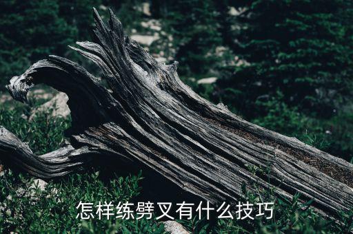 怎样练劈叉有什么技巧