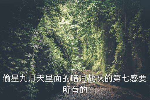 冰凌黑了哪个战队，偷星九月天里面的暗月战队的第七感要所有的