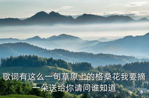 格桑花一朵什么广场舞，歌词有这么一句草原上的格桑花我要摘一朵送给你请问谁知道