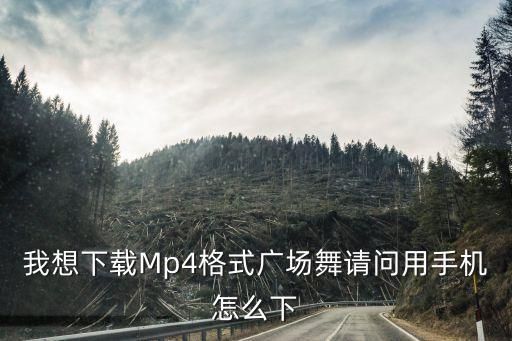 我想下载Mp4格式广场舞请问用手机怎么下