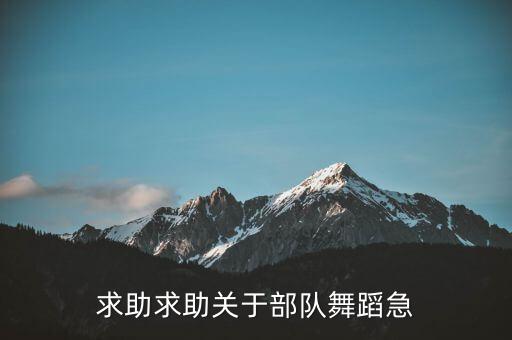 求助求助关于部队舞蹈急